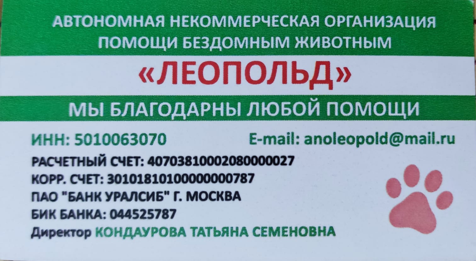 визитка леопольда 2