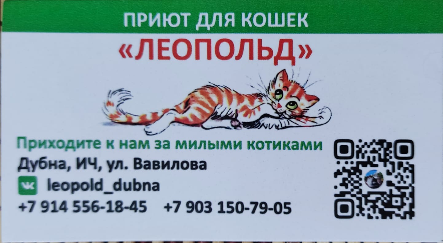 визитка леопольда