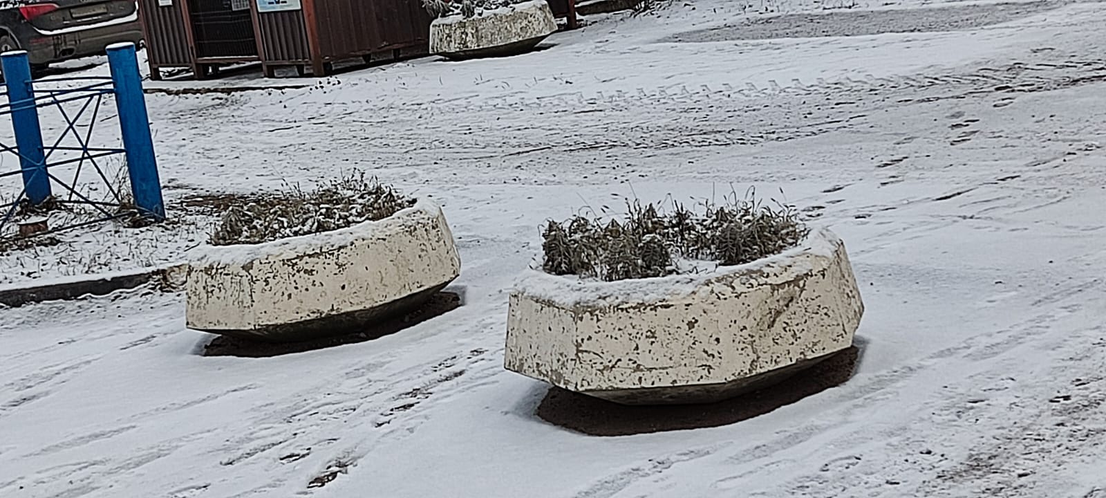 клумбы